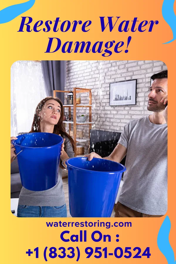 water restoration Platinum Sewage Cleanup Company Richville