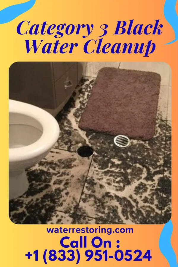 Category 3 Black Water Cleanup in Richville, MN