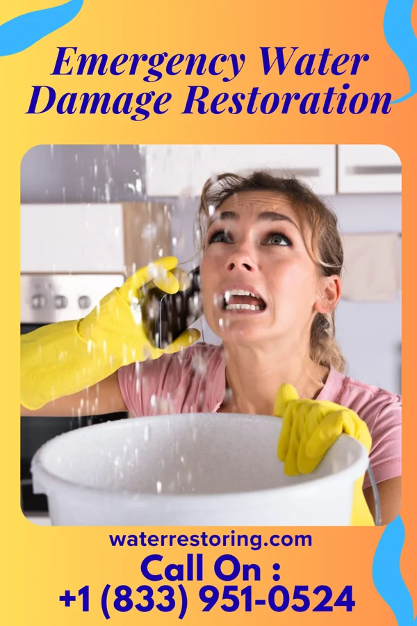 Emergency Water Damage Restoration in Richville, MN