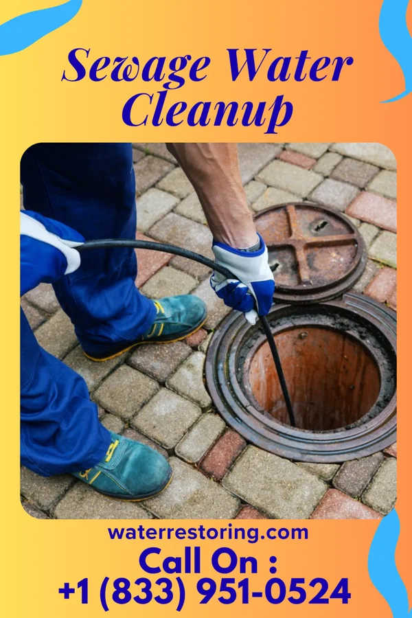 Sewage Water Cleanup in Richville, MN